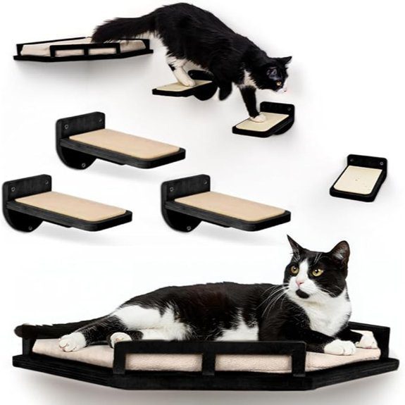 cat wall shelves set