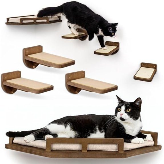 cat wall shelves system