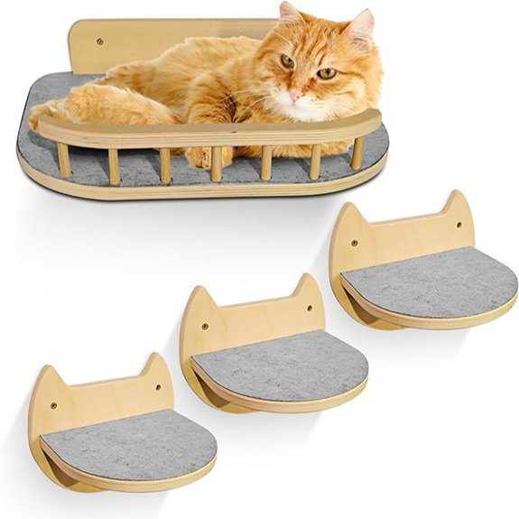 cat wall shelves design