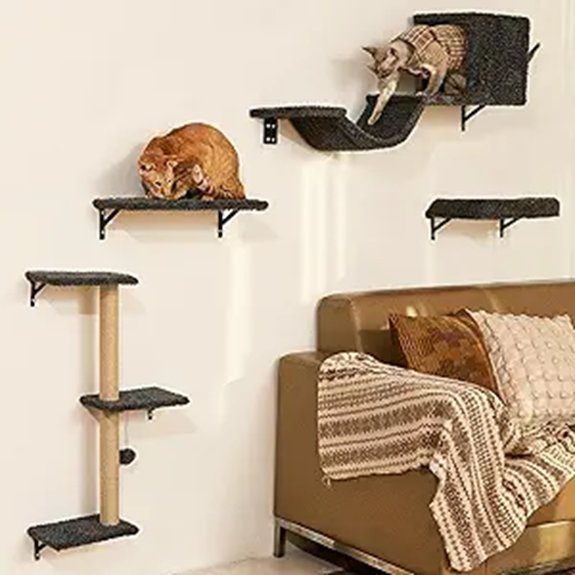 gray cat wall shelves